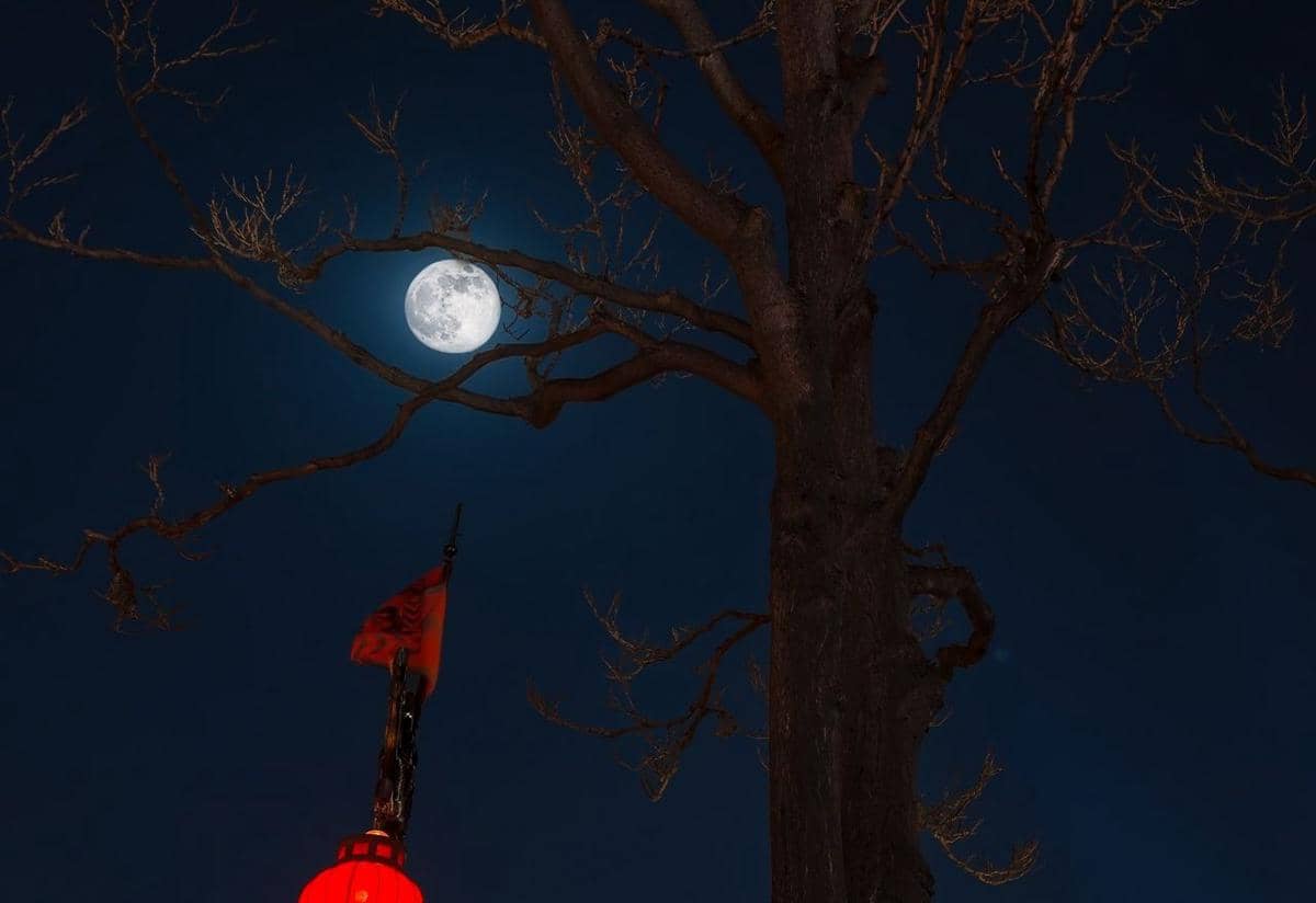 ilustrasi bulan purnama saat musim gugur
