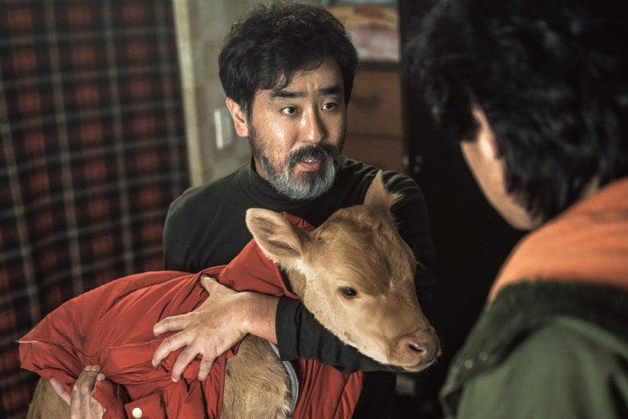 Cuplikan film Cattle Run (dok. YONGFILM/ Cattle Run)