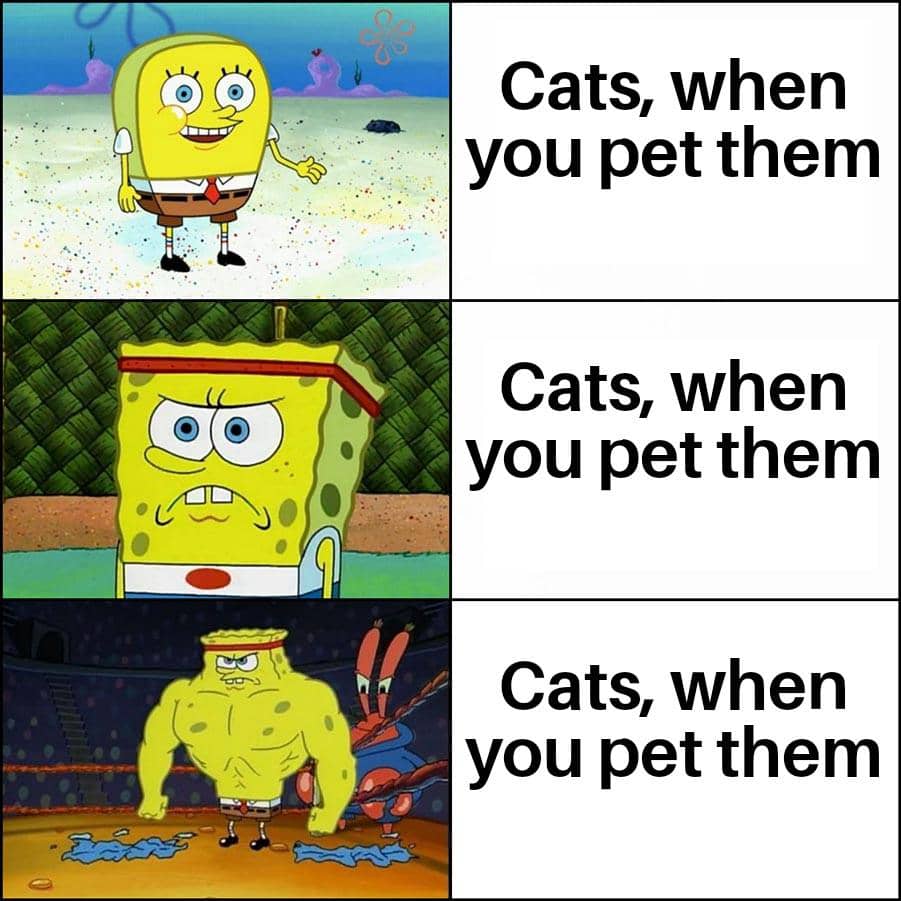 meme SpongeBob tentang mood buruk