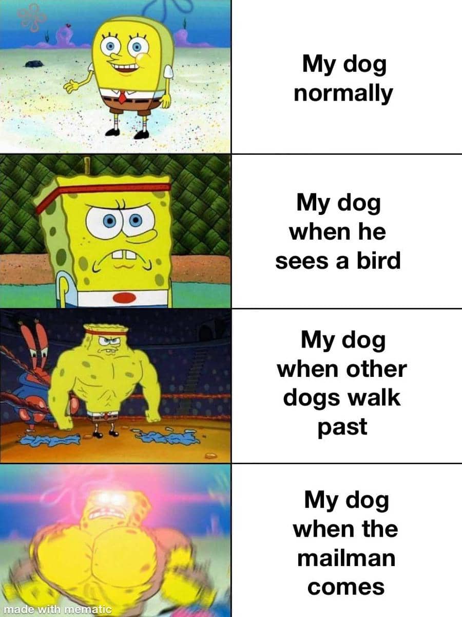 meme SpongeBob tentang mood buruk