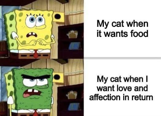 meme SpongeBob tentang mood buruk