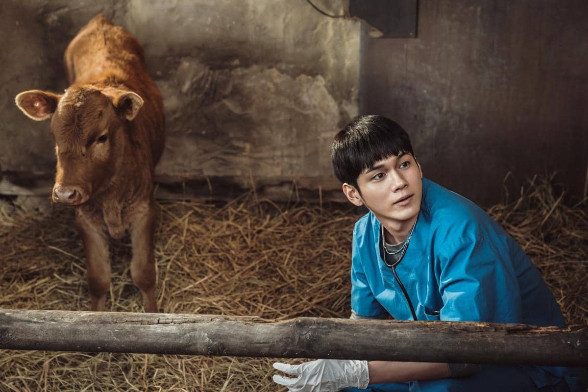 still cut film Cattle Run