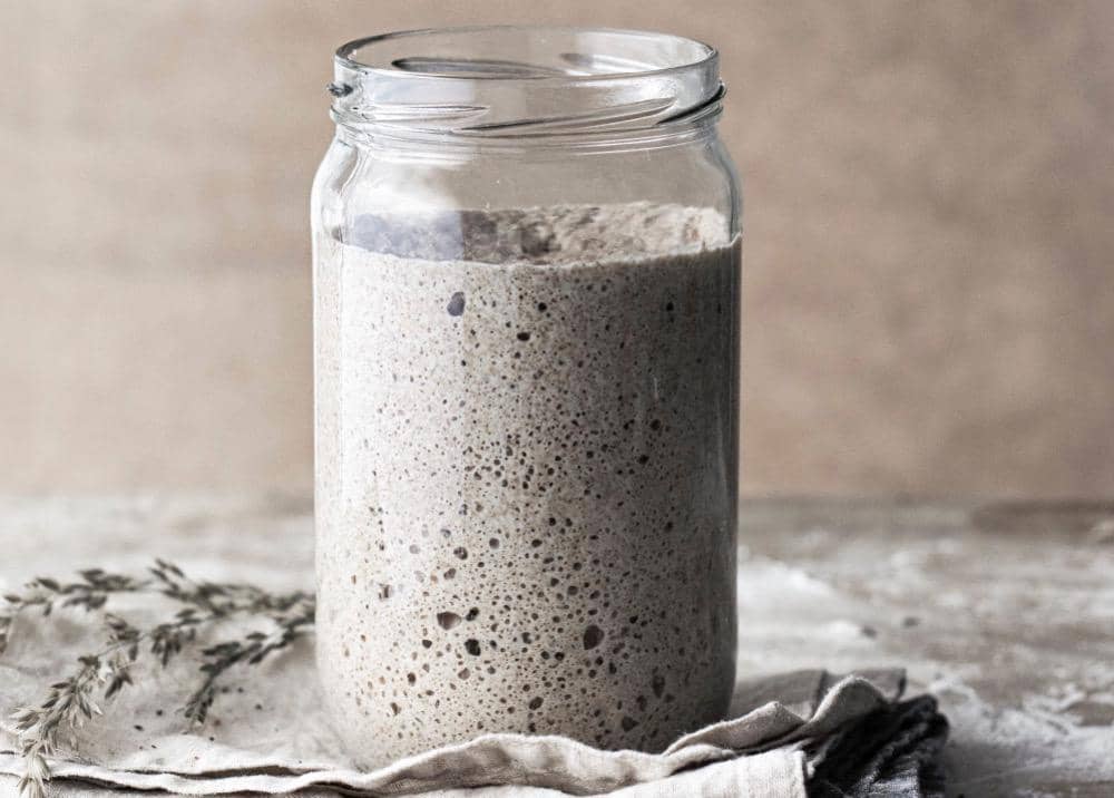 ilustrasi sourdough starter