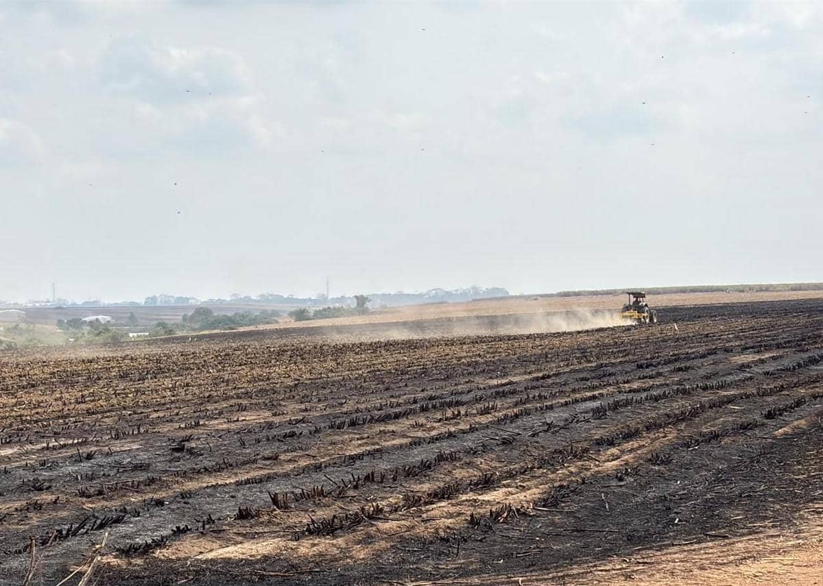 Lahan Terbakar Picu Kecelakaan Beruntun, DLH Lampung Segel Kebun PT SIL