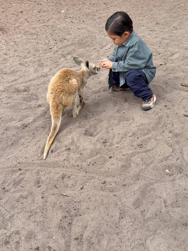 Keluarga Nikita Willy mengunjungi Caversham Wildlife Park di Perth