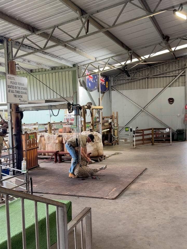 Keluarga Nikita Willy mengunjungi Caversham Wildlife Park di Perth
