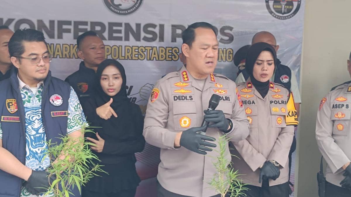 Pria Paruh Baya di Bandung Tanam Ganja di Rumah, Bibit Didapat dari AS