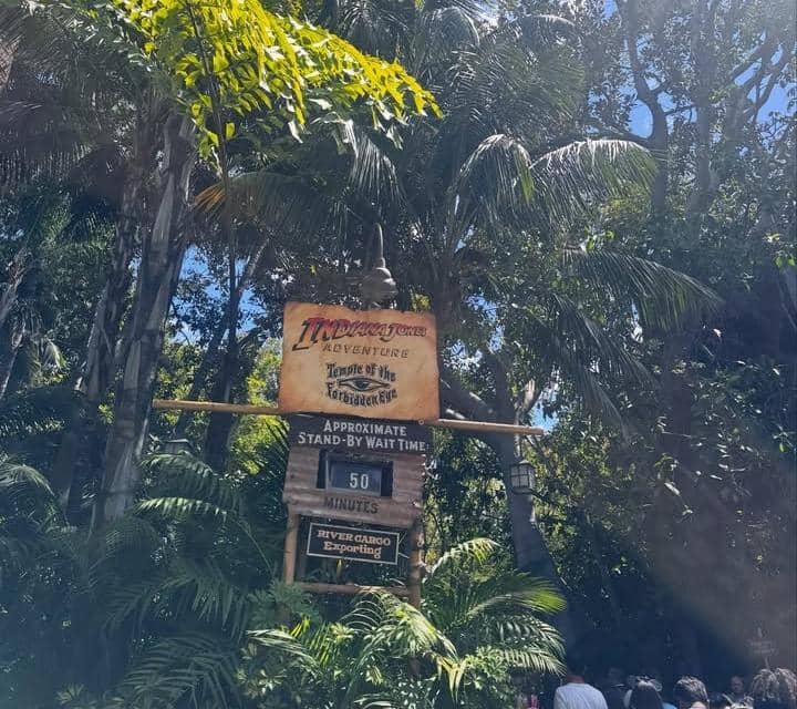 Natasha Wilona Liburan ke Disneyland Anaheim