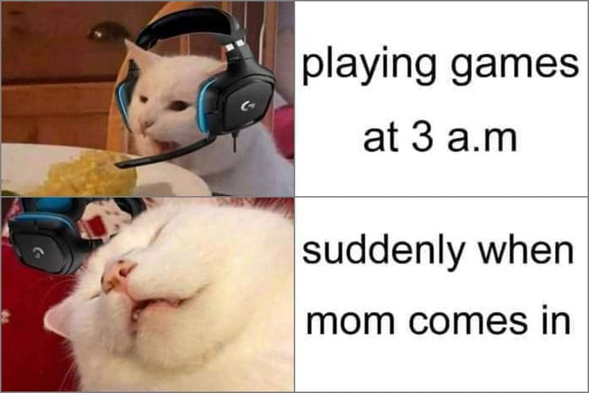 8 Meme Kucing Main Game, Stik Udah Siap di Tangan