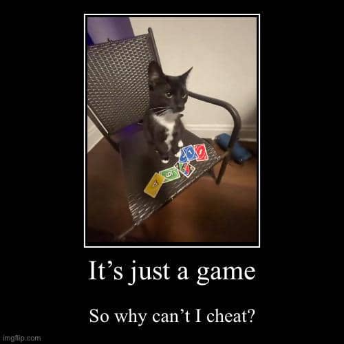 meme kucing main game