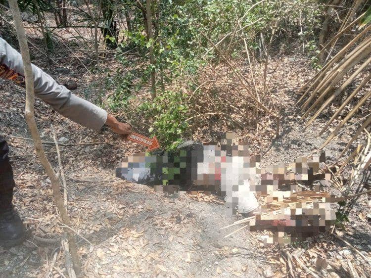 Hutan di Kupang, lokasi seorang lansia ditemukan tak bernyawa berdasarkan dokumentasi Polres Kupang.