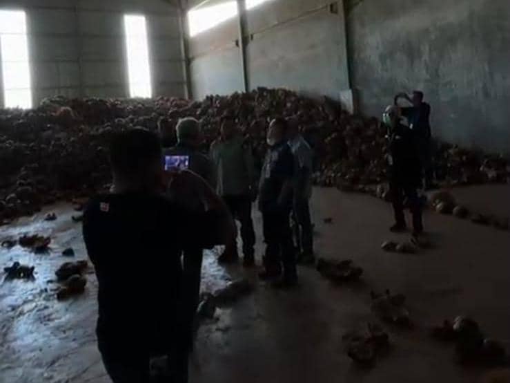 Tim DLH Provinsi Lampung melalui kegiatan verifikasi lapangan atas aduan warga berujung penyegelan operasional PT Indo Thai Coco di Tarahan, Kabupaten Lampung Selatan.