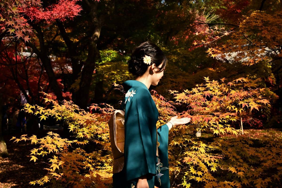 Pemandangan musim gugur di Jepang