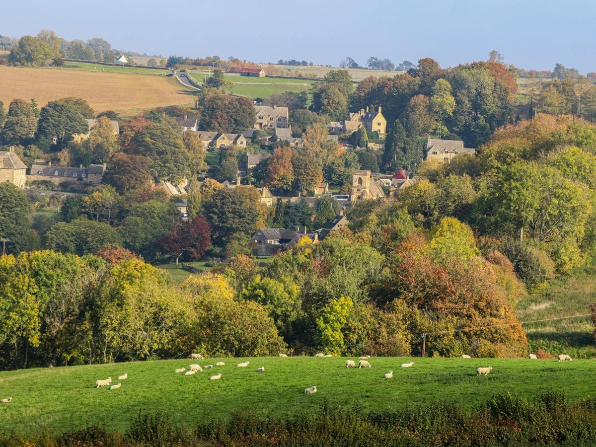 Cotswolds