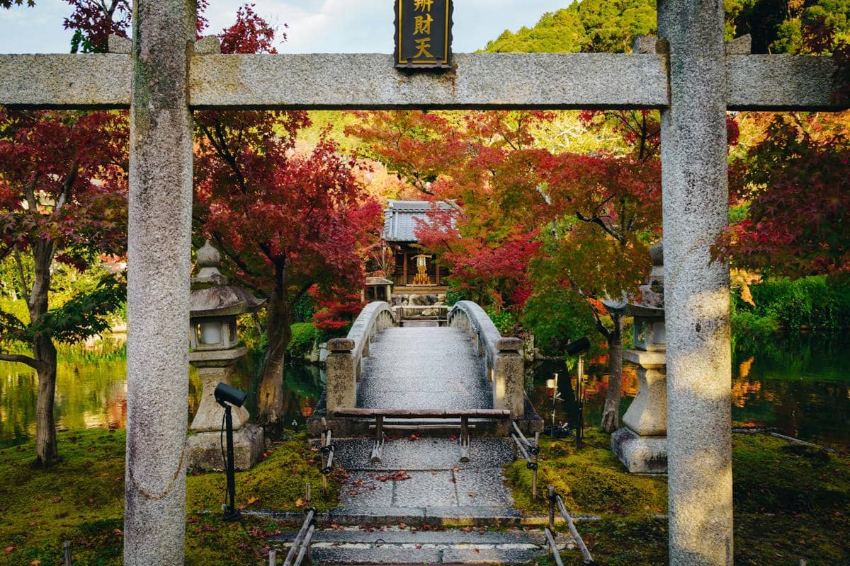 Pemandangan musim gugur di Jepang