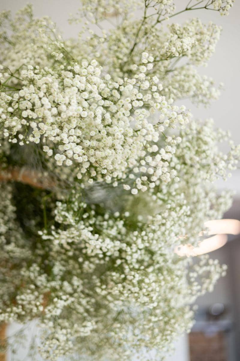 ilustrasi bunga baby's breath pada dekorasi pernikahan