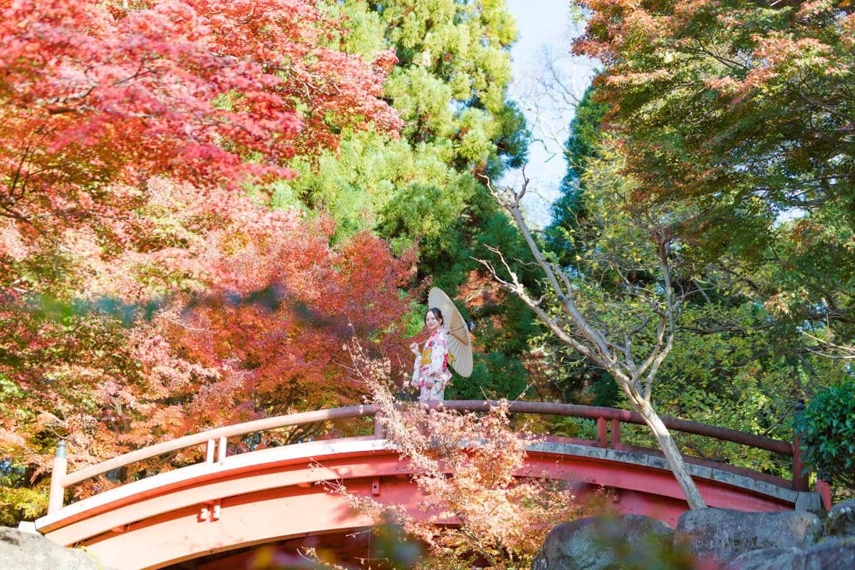 Pemandangan musim gugur di Jepang