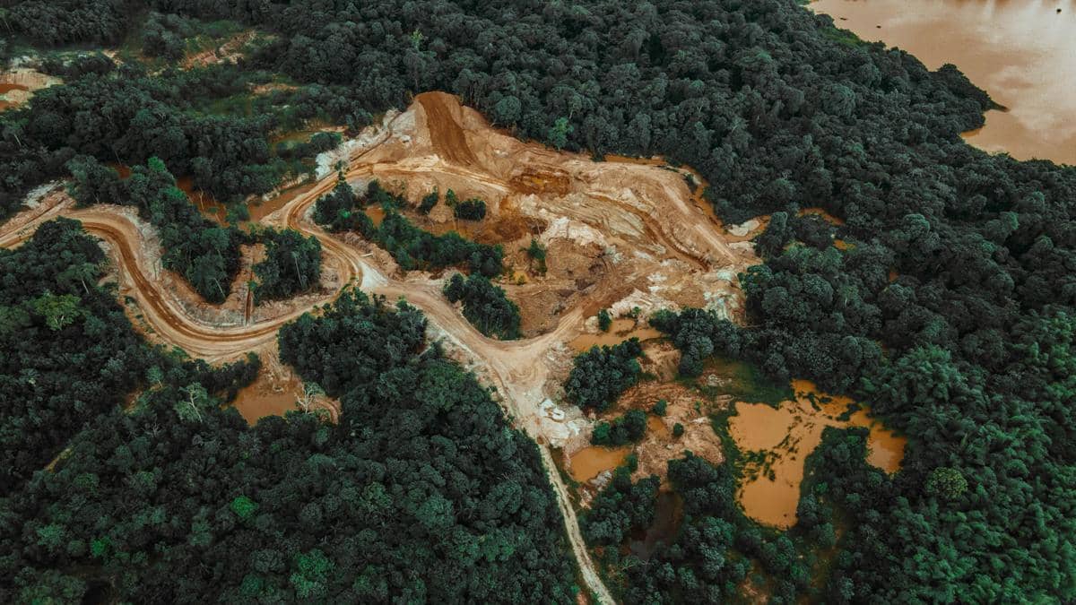 ilustrasi deforestasi dan fragmentasi hutan