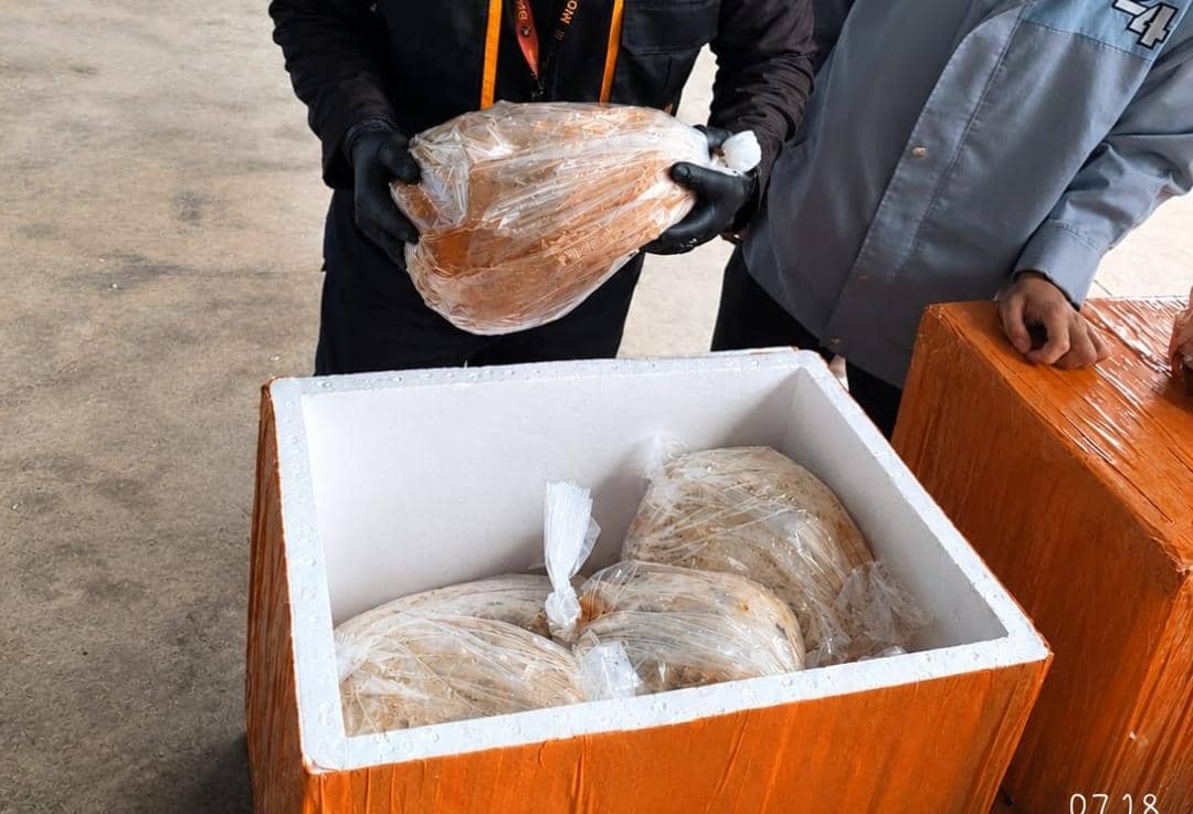 Muara Enim Ekspor 310 Kilogram Madu ke Singapura