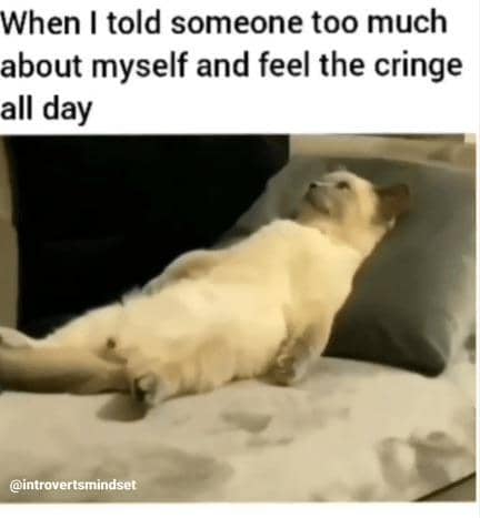 meme kucing tentang hal berlebihan
