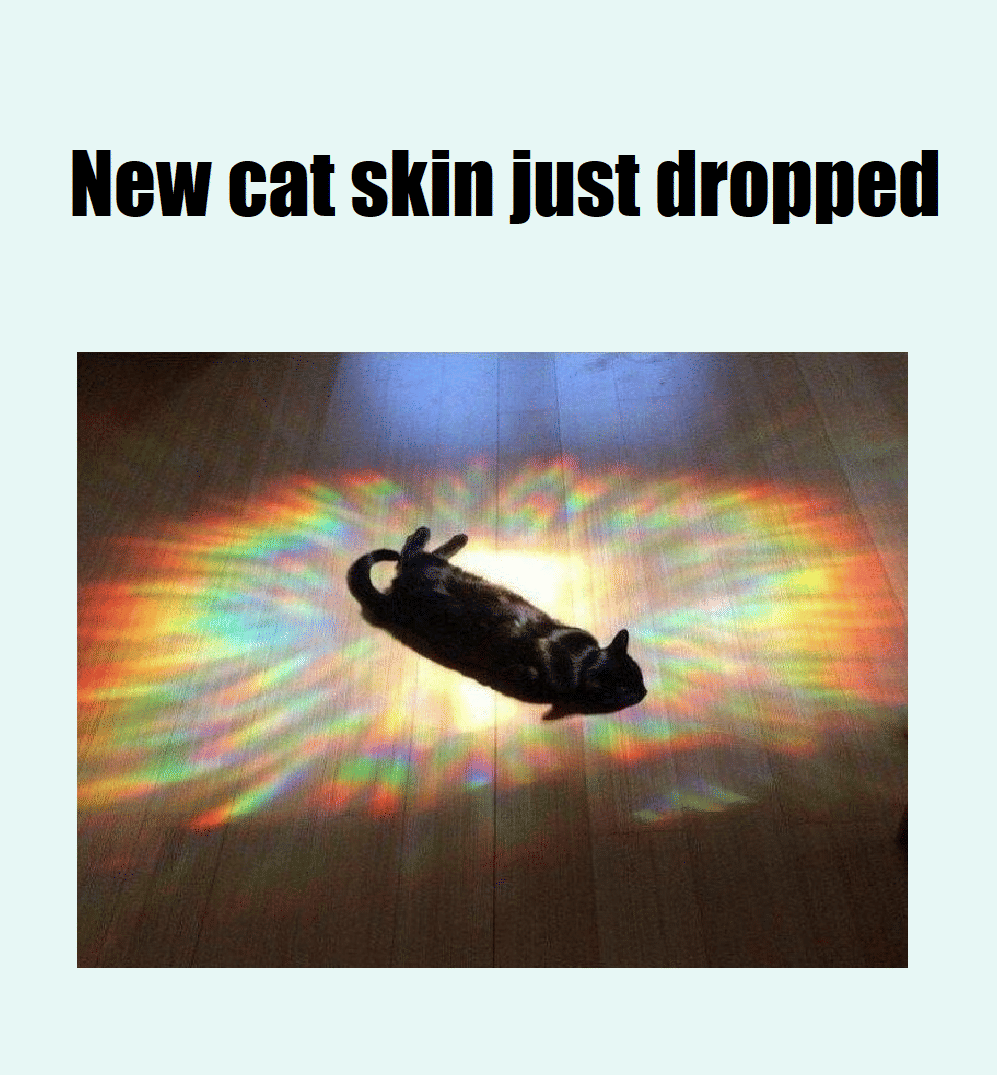 meme kucing gak ngapa-ngapain