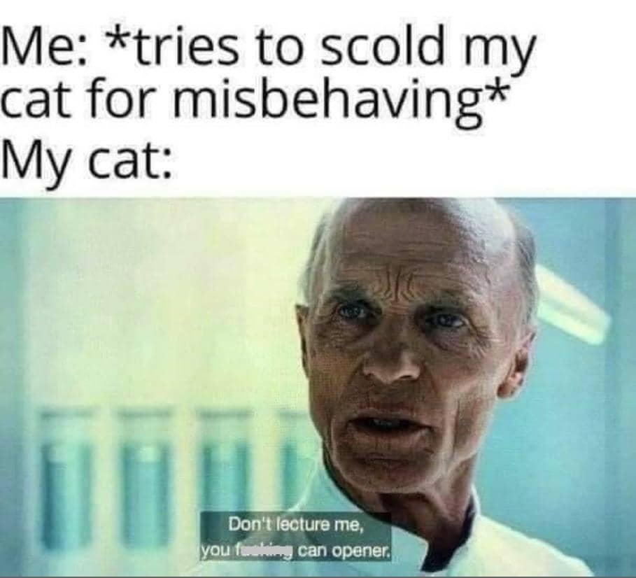meme kucing tentang pembuka kaleng