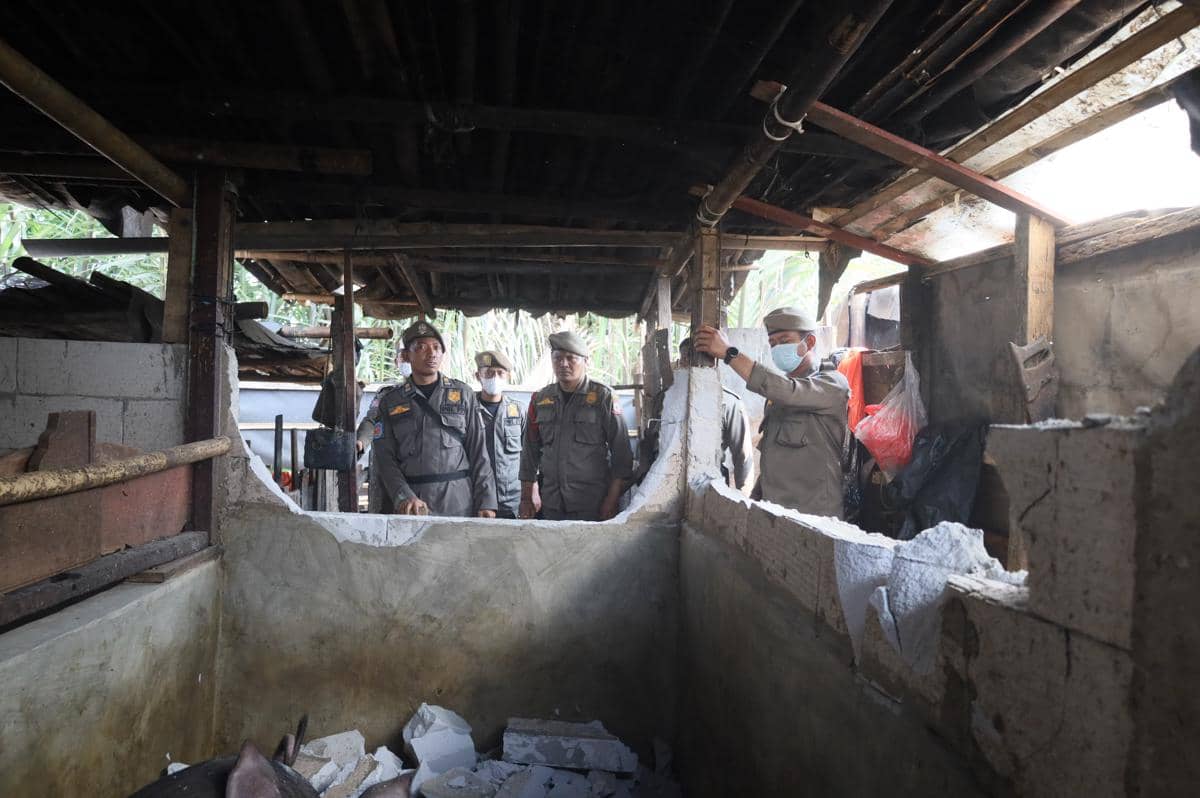 Petugas menertibkan ternak babi dari kawasan permukiman di Jalan Kesadaran, Kelurahan Panaikang, Makassar.