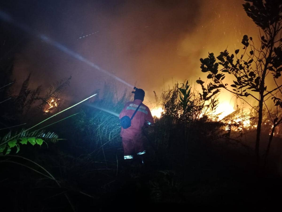 Cerita Petugas Manggala Agni Kemenhut Padamkan Karhutla di Palangkaraya