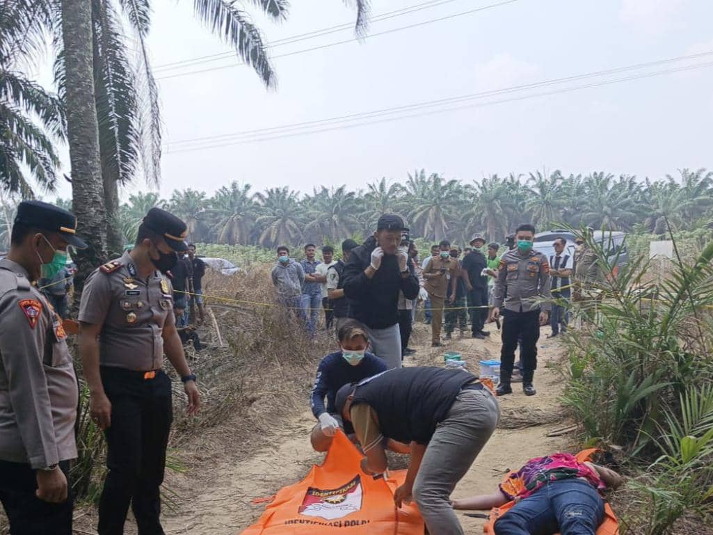 Identitas Jasad Wanita di Kebun Sawit Mesuji, Polisi Tunggu Autopsi