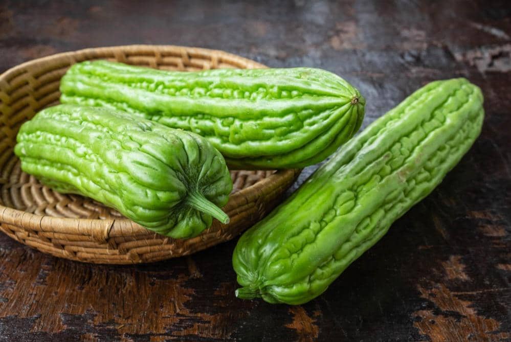 Sejumlah pare hijau segar dengan permukaan bertekstur tersusun di atas latar putih sebagai bahan masakan.