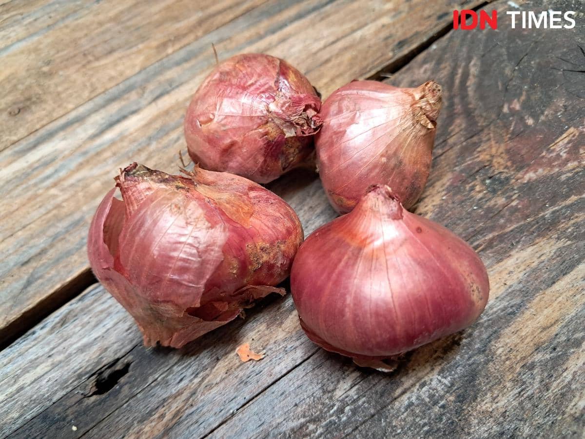 ilustrasi bawang merah