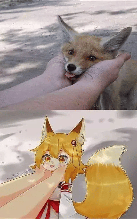 meme karakter anime cewek rubah