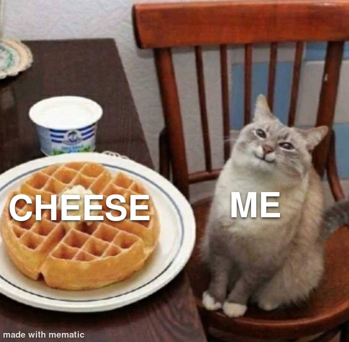 meme kucing dan keju