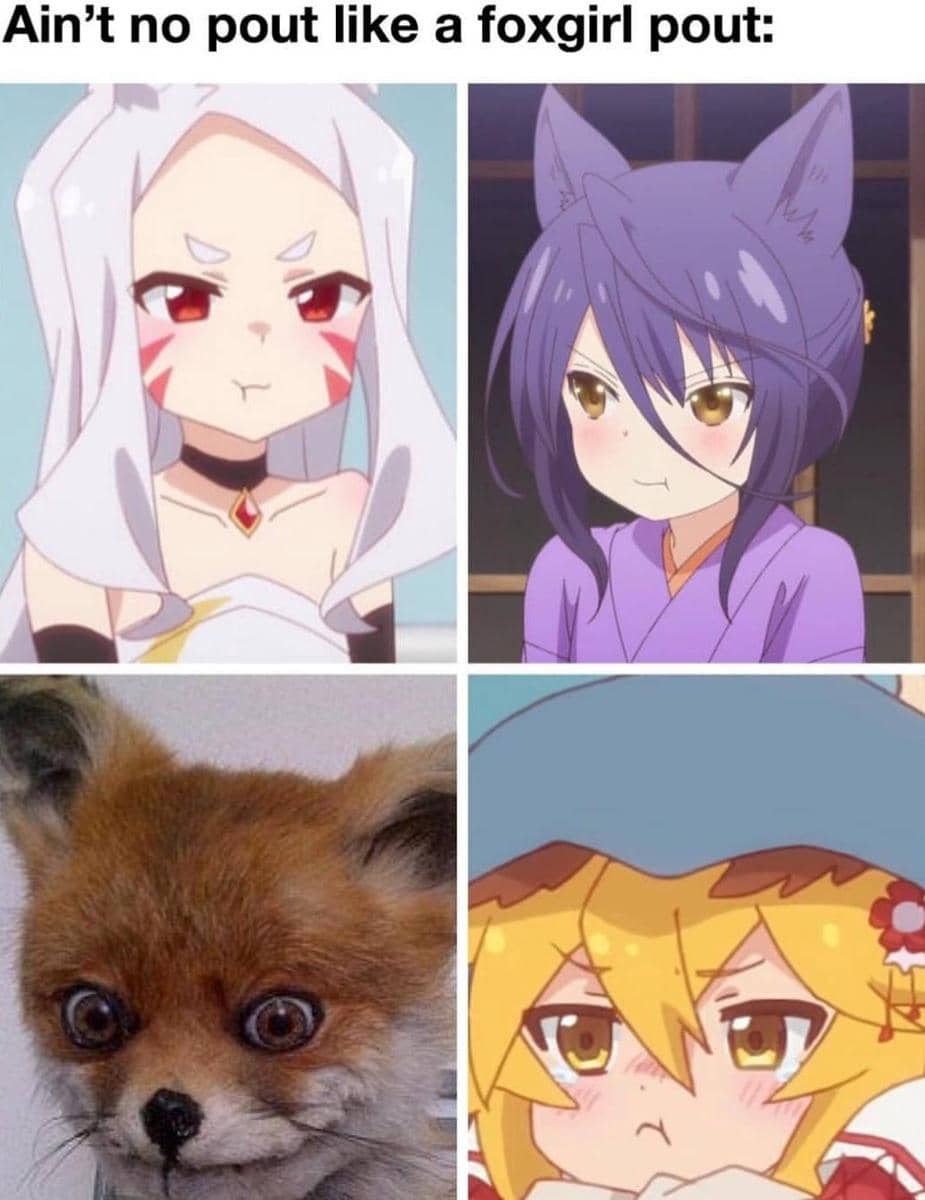 meme karakter anime cewek rubah