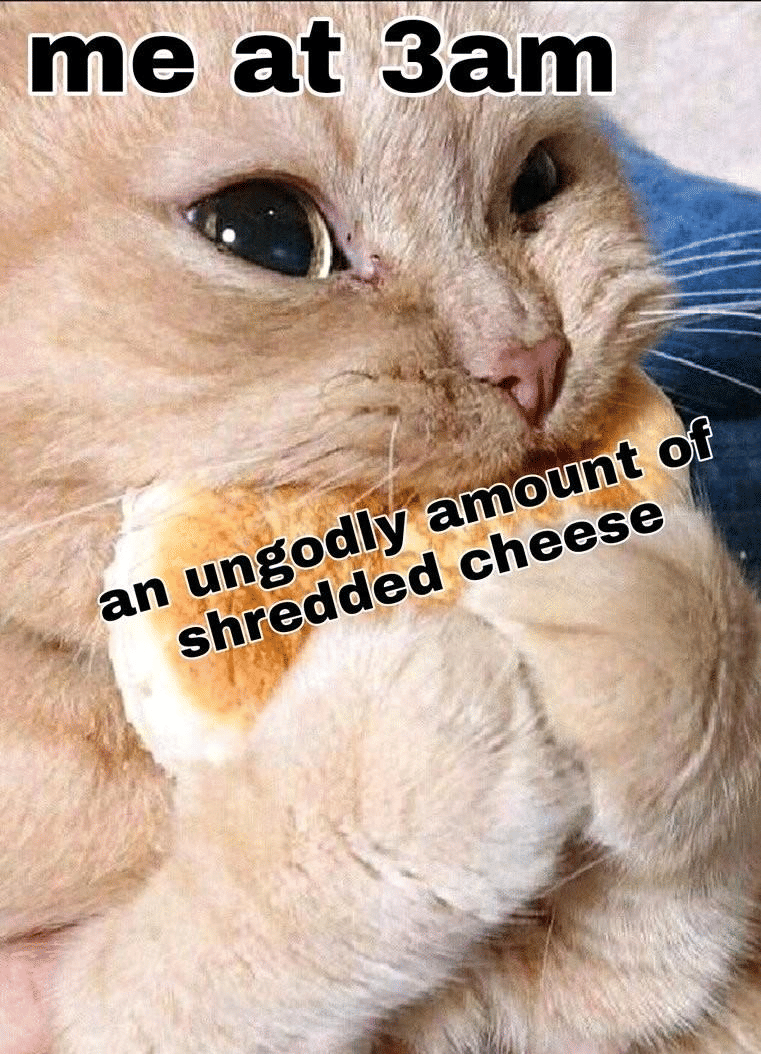 meme kucing dan keju
