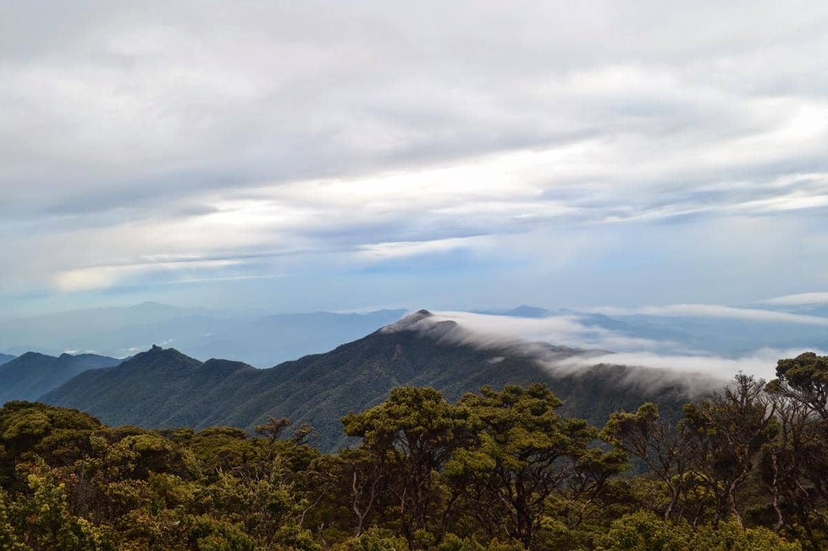Suasana di Rante Mario, puncak Gunung Latimojong yang menjadi salah satu tujuan para pendaki di Indonesia.
