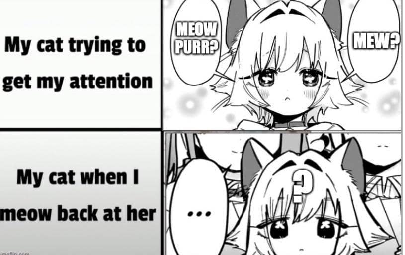 meme anime tentang komunikasi