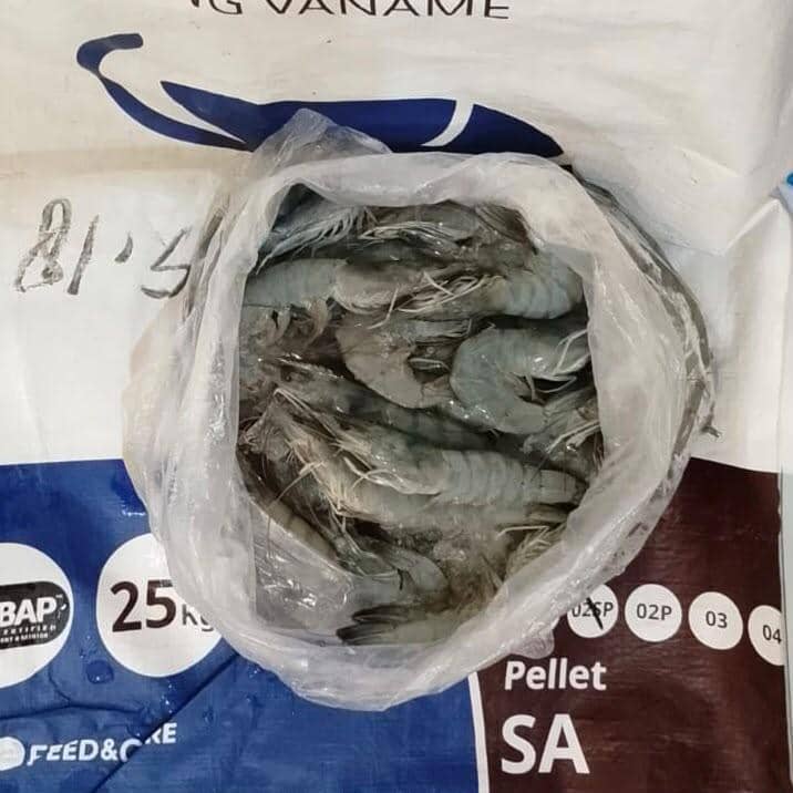 Pengungkapan kasus penggelapan hasil panen udang di sebuah tambak di Pekon Way Rilau, Kecamatan Cukuh Balak, Kabupaten Tanggamus