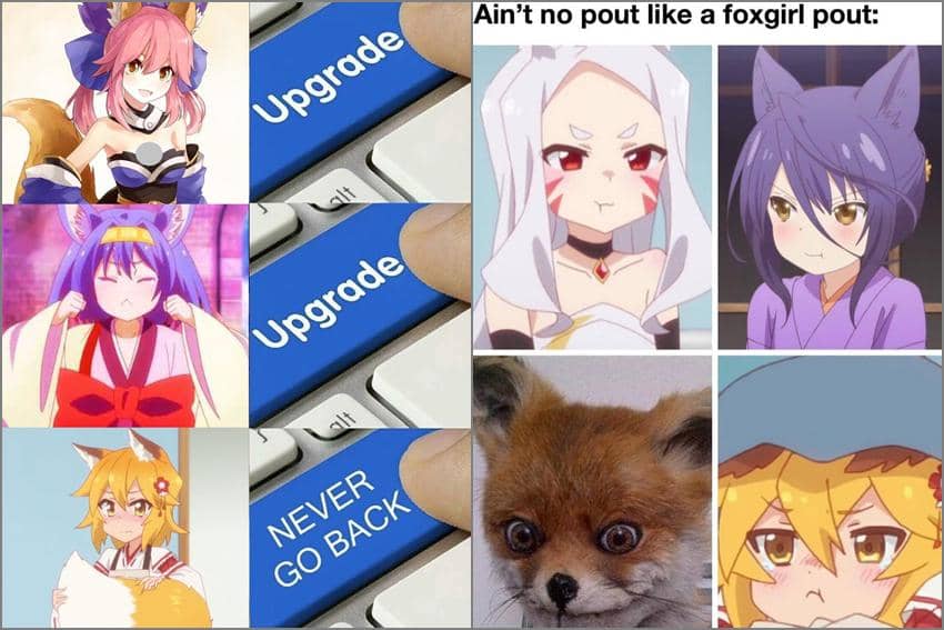 8 Meme Karakter Anime Cewek Rubah, Ada Waifu Kamu?