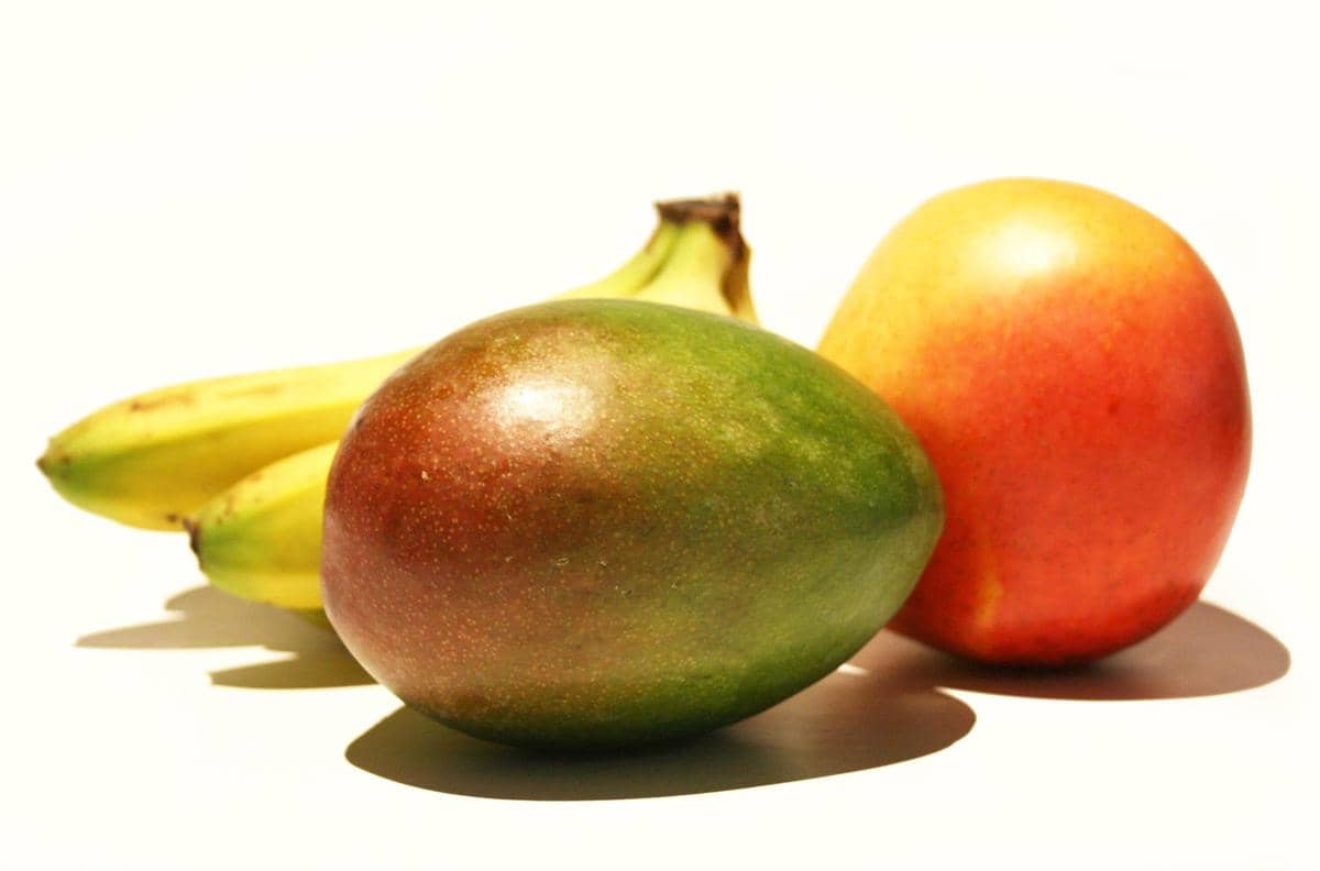 ilustrasi mangga harum manis