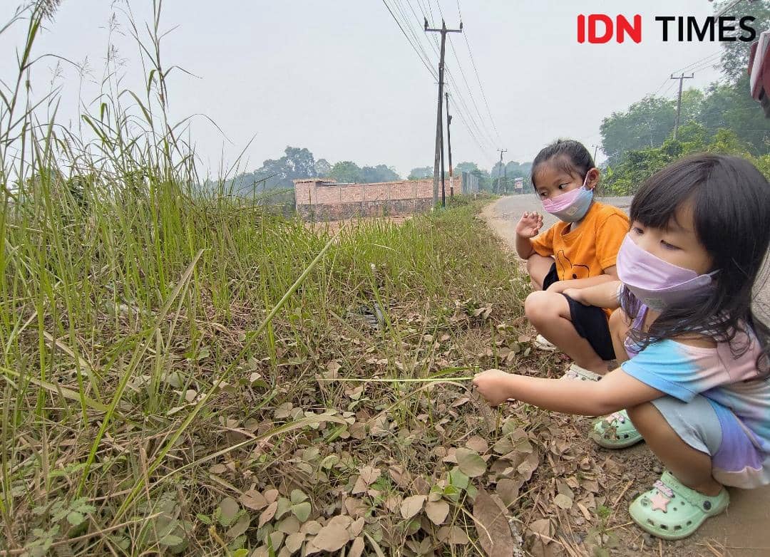 Waspada! Sore Ini Kualitas Udara 5 Daerah di Sumsel Level Berbahaya
