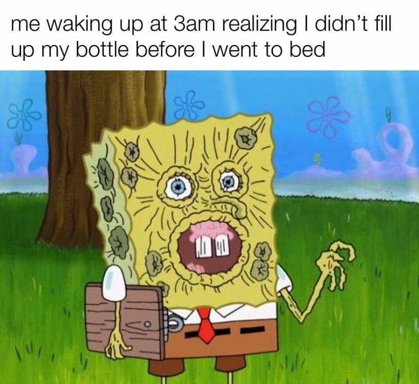 meme SpongeBob tentang botol minuman