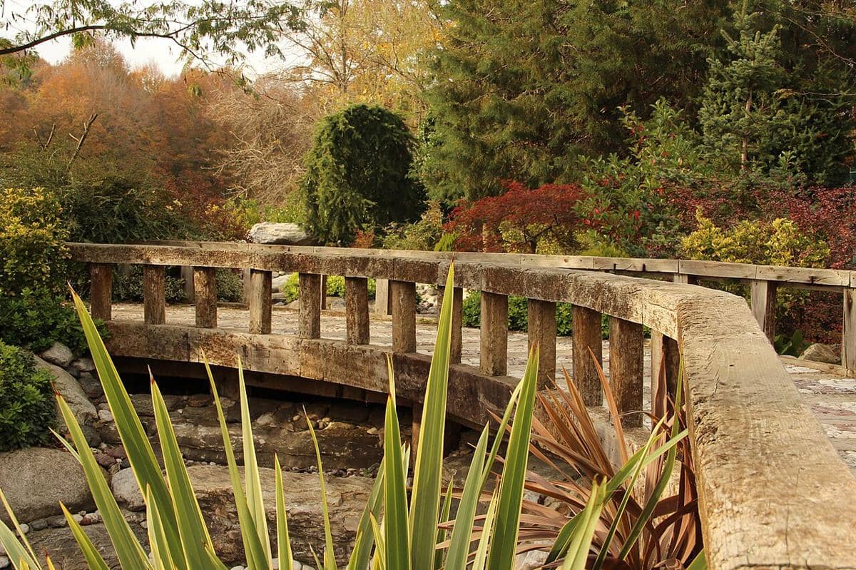 Atatürk Arboretum