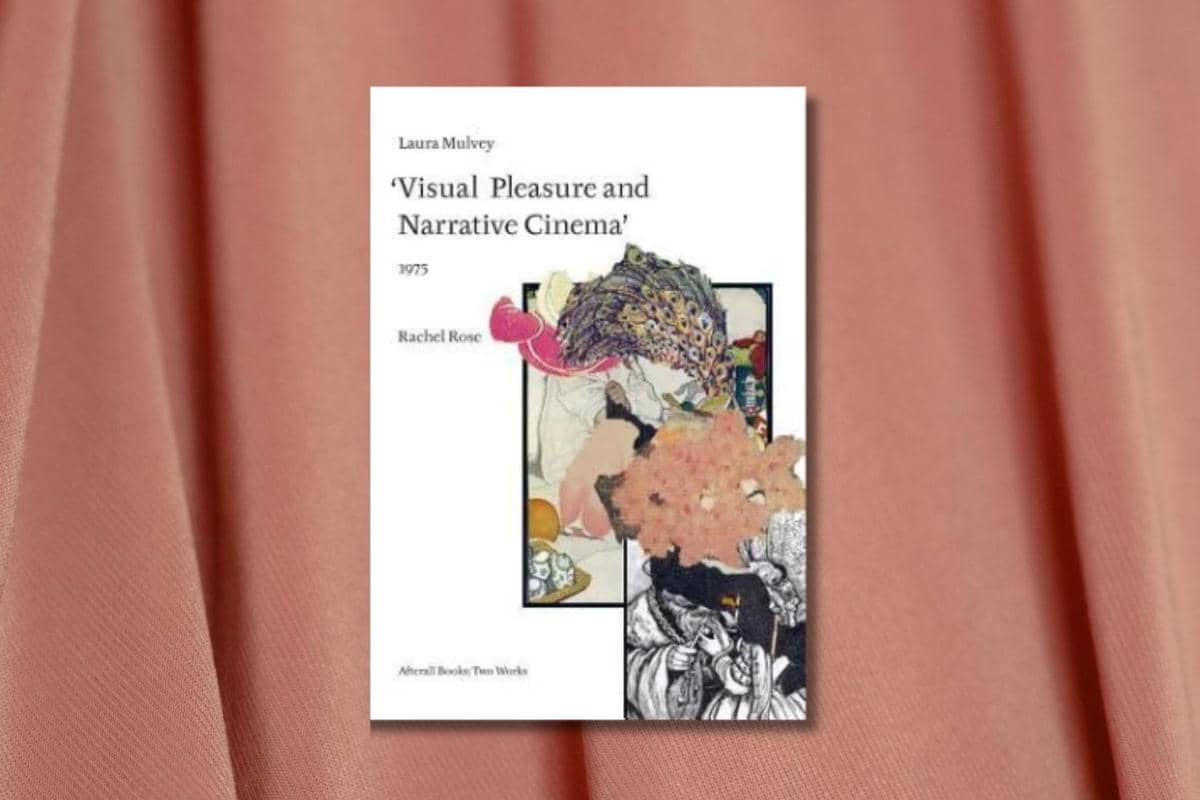 Visual Pleasure and Narrative Cinema