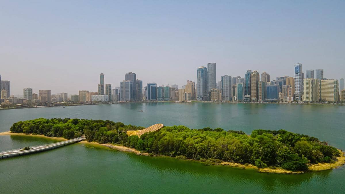 Khor Kalba Mangrove Center Sharjah