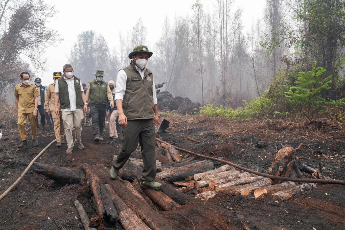 Menhut Sebut Pemerintah Maksimalkan Modifikasi Cuaca Tangani Karhutla Kalteng