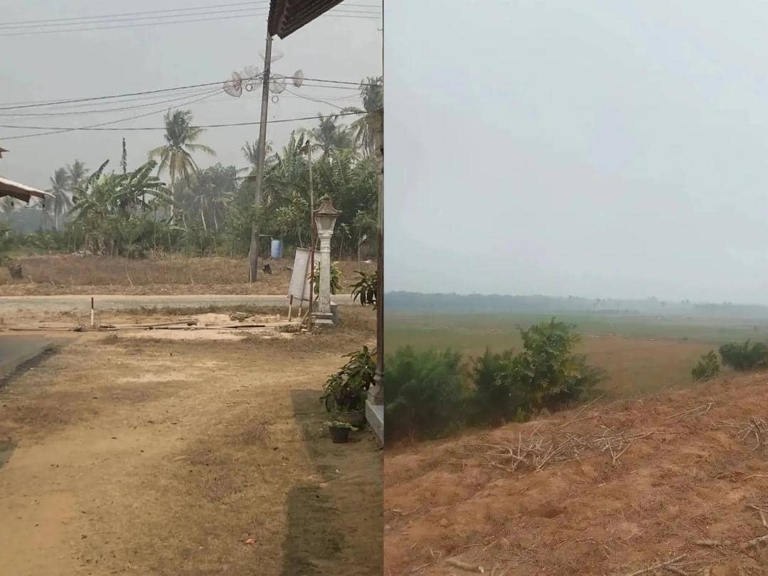 Kabut Asap Way Kambas Selimuti Lamteng, Warga Diminta Pakai Masker