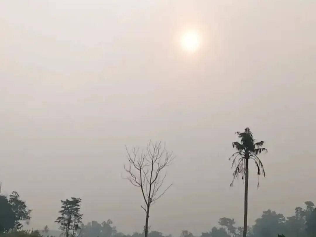 Potret pemukiman warga Bandar Surabaya, Lampung Tengah diselimuti kabut asap karhutla Taman Nasional Way Kambas (TNWK), Lampung Timur