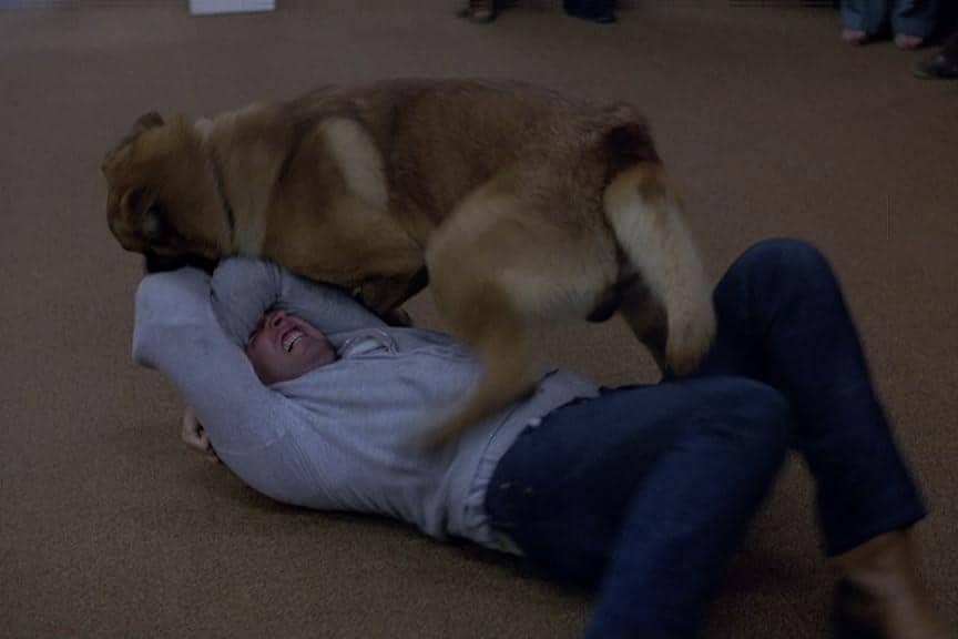 Dogs.