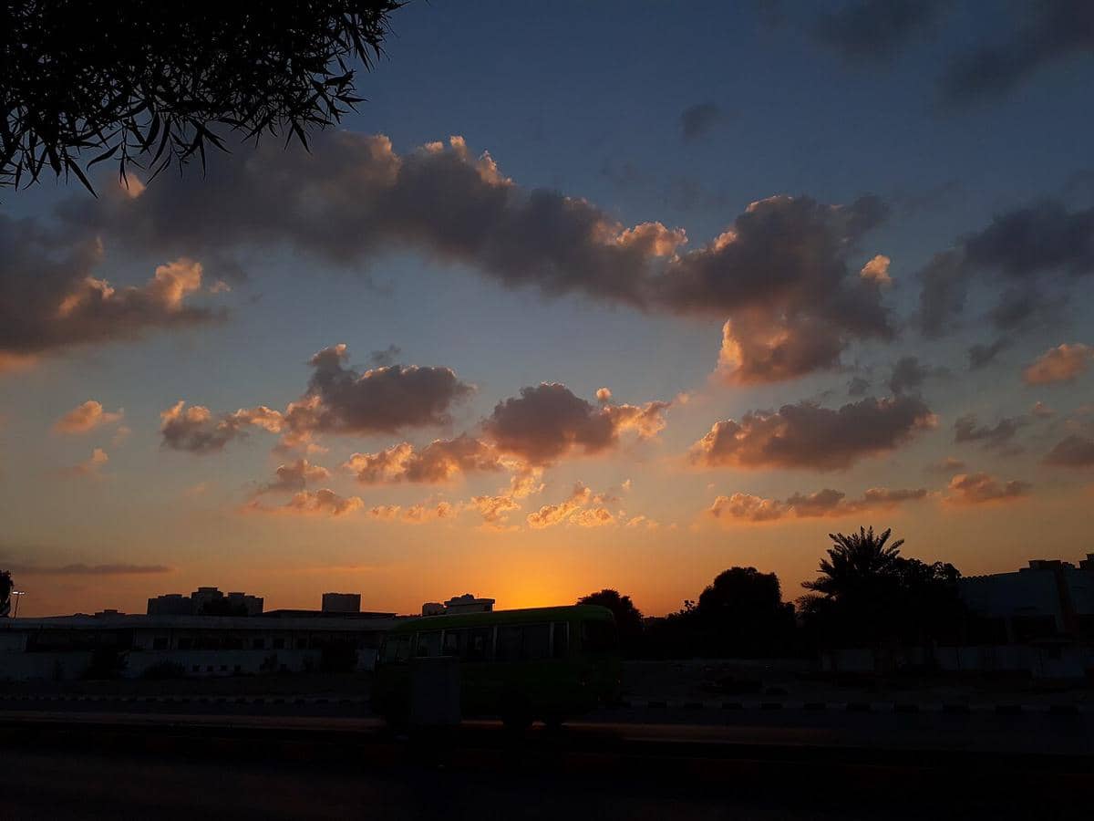 ilustrasi Al Zorah Natural Reserve Ajman